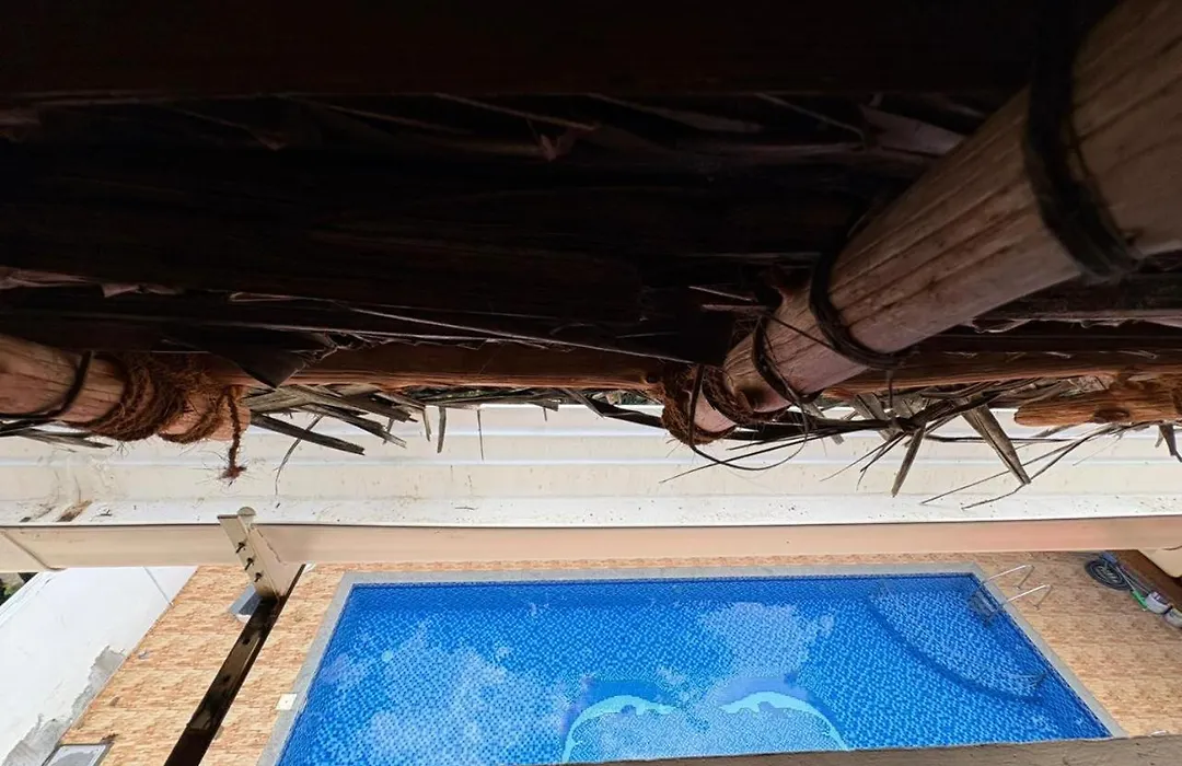 Healing Home And Hostel Auroville-1